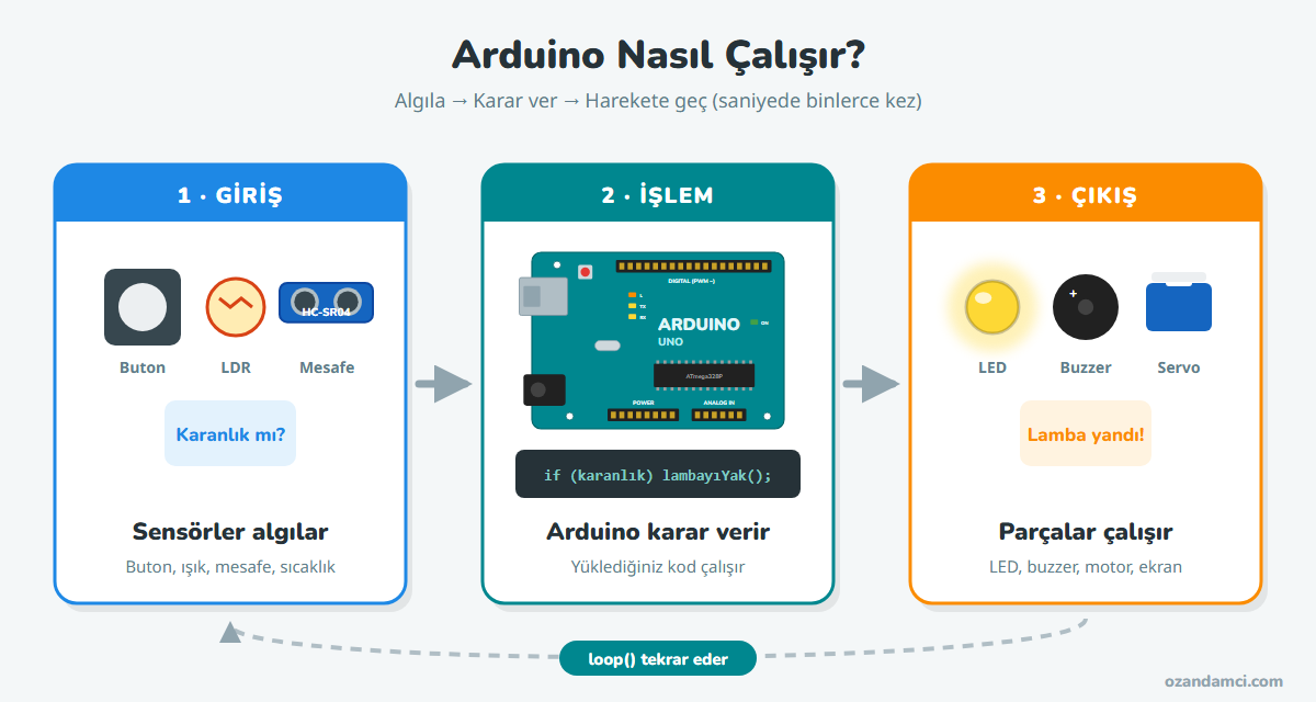 Arduino nasıl çalışır: sensörden gelen bilgi Arduino'da kodla işlenir ve LED, motor ya da buzzer'a komut olarak gider