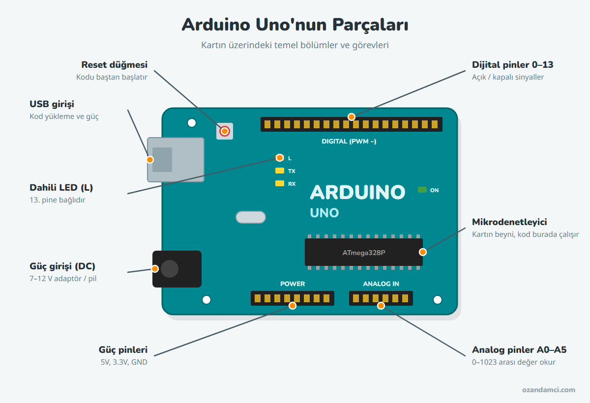 Arduino Uno kartının parçaları: USB girişi, güç girişi, mikrodenetleyici, dijital ve analog pinler